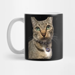 Evil kitty that is a meanie Mug